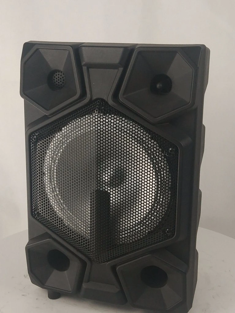 Factory Price, 12 Inch Portable Plastic/ABS Trolley Speaker Box with Bluetooth and USB/SD MP3 Player Speaker