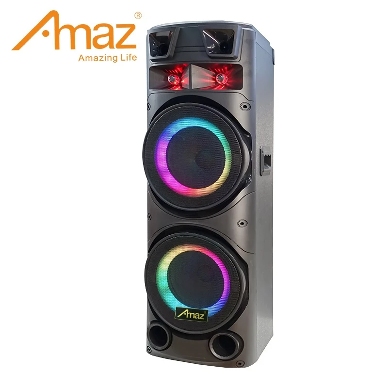 Factory Price Dual 12 Inch Big Power Rechargeable Portable Speaker