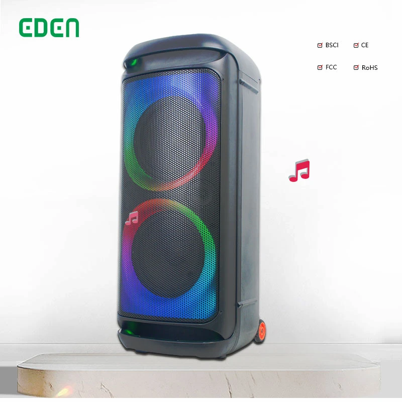 Factory Wholesale Dual 10 Inch Trolley Portable Audio DJ Sound Box Professional Powered Multimedia Bluetooth Wireless Speakers with Mic