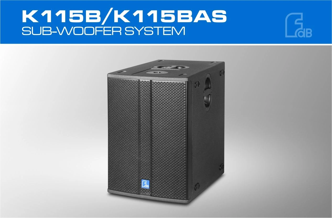 Fdb 15inch Active Bass with DSP Subwoofer Manufactured by Chinese Factory