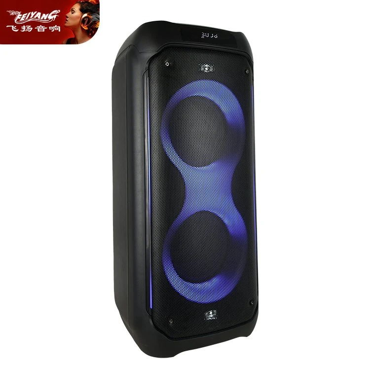 Feiyang 2026 Dual 8 Inch LED Outdoor Portable Wireless Bluetooth Party Speaker