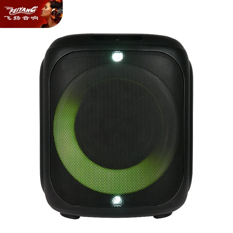 Feiyang 6.5 Inch Mini Portable Wireless Speakers