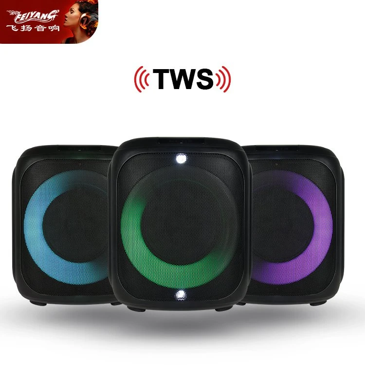Feiyang Bluetooth Wireless Portable Mini 6.5 Inch Speaker with Microphone