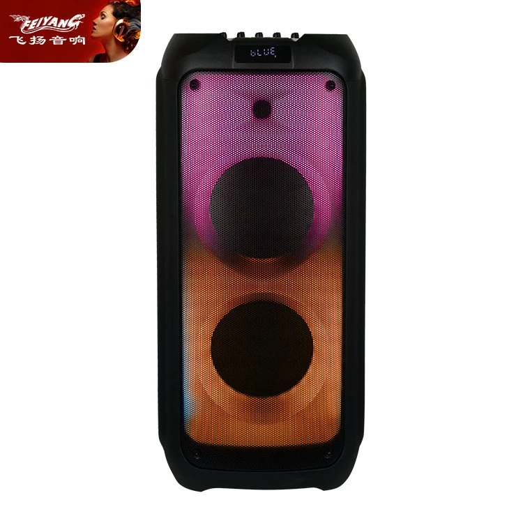 Feiyang Double 8 Inch Professional Wireless Speaker