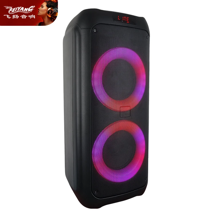 Feiyang Dual 6.5 Inch Mini Domestic Partybox Home Theater Music System Bt Portable Audio Baffles
