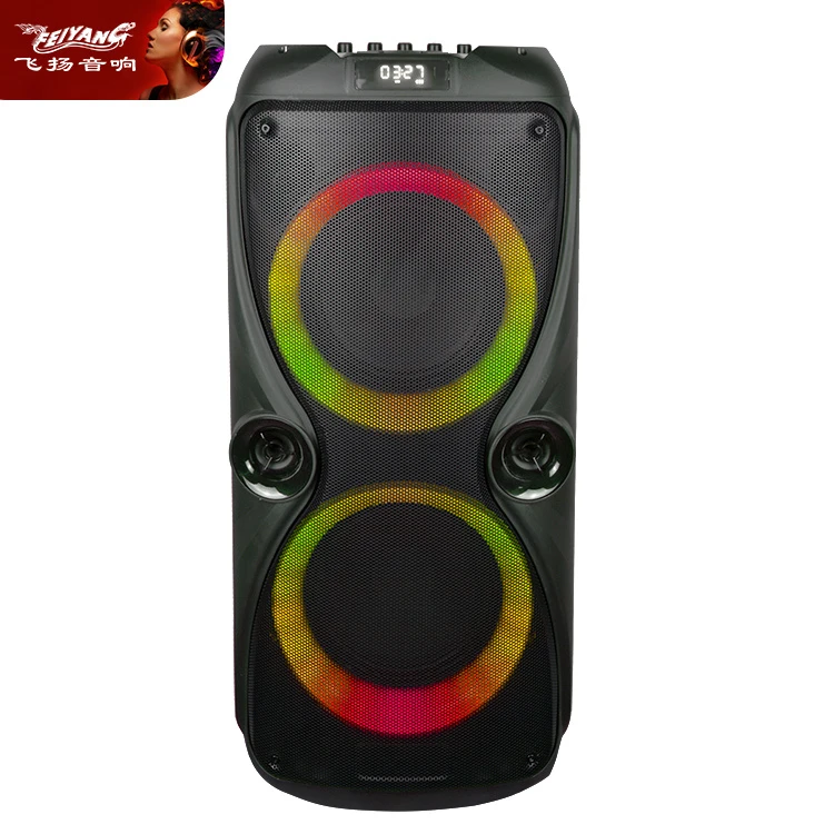 Feiyang Dual 8 Inch Blueooth Wireless Portable Speaker
