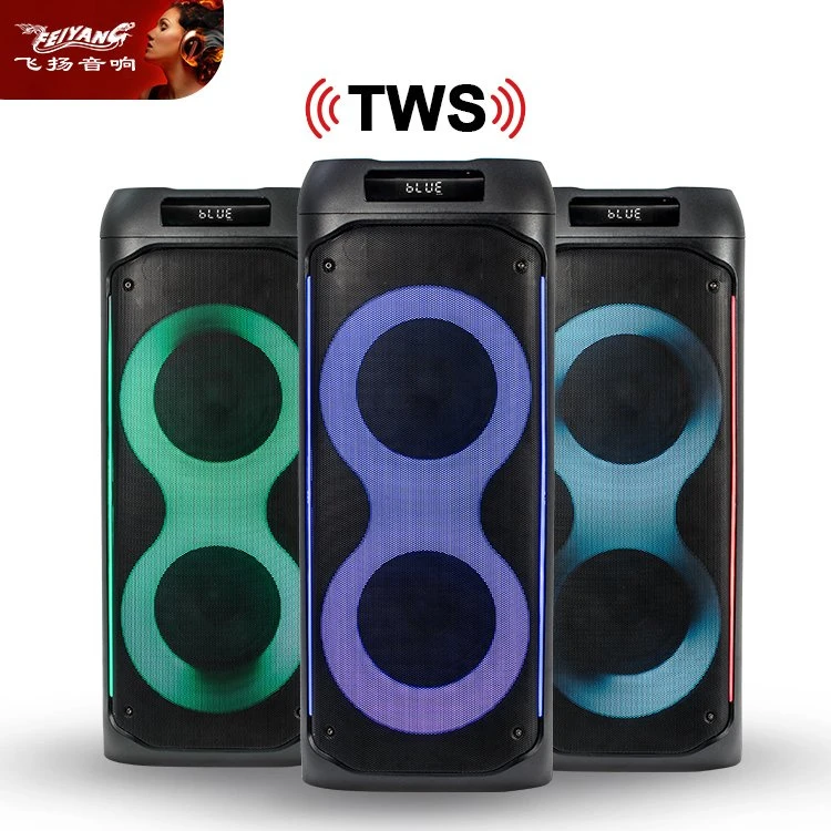 Feiyang Party Dual 6.5 Inch Speaker Wooden and Plastic
