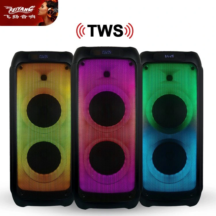 Feiyang Portable Rechargeable Loud Speaker Trolley Speaker