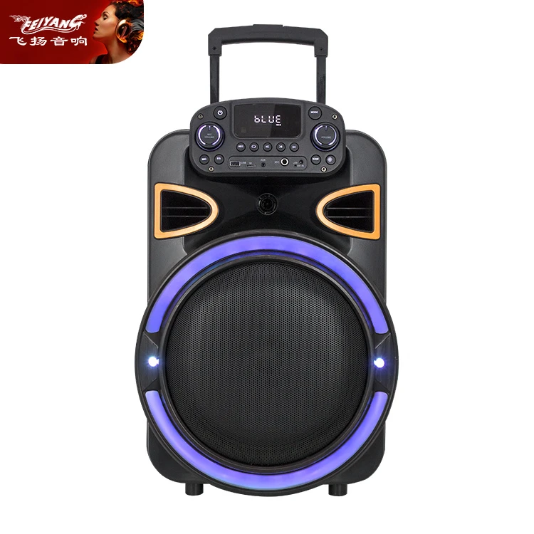 Feiyang Privata Mold 12inch Portable Rechargeable Party Speaker