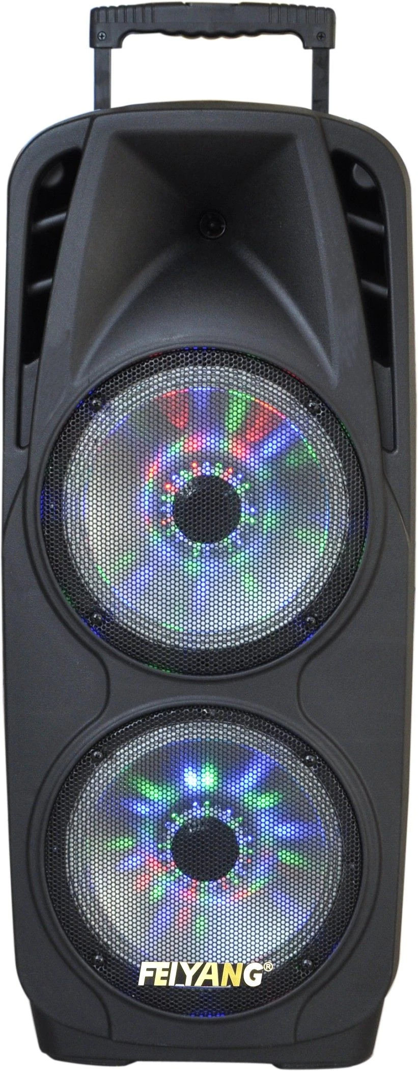 Feiyang/Temeisheng Hot-Sale Double 10 Inch Portable Party Speakers with Bluetooth and Wireless Mic F-73D