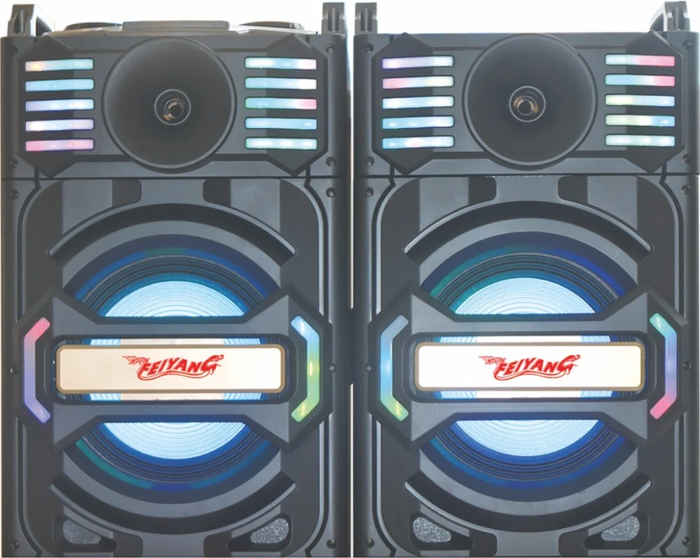 Feiyang/Temeisheng Professional Big Power Passive Stage Bluetooth Speaker 12 Inch E241