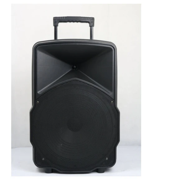 Feiyang/Temeishneg 15inch Inch Plastic Speakers with Bluetooth Wireless Microphone Fy15-01