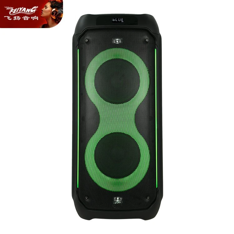 Feiyang Tws Dual 8 Inch Portable Wireless Speaker