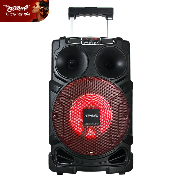 Feiyang Wireless professional Karaoke Mic with 8 Inch Subwoofer Speakers