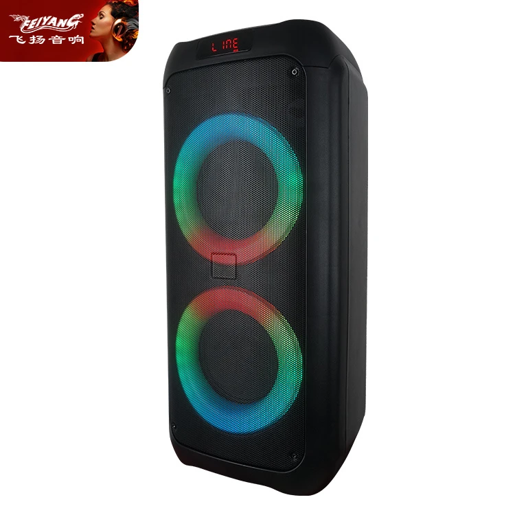 Fg206-09 Karaoke Wireless PA System Mini DJ 30W Party Portable Bluetooth Speaker