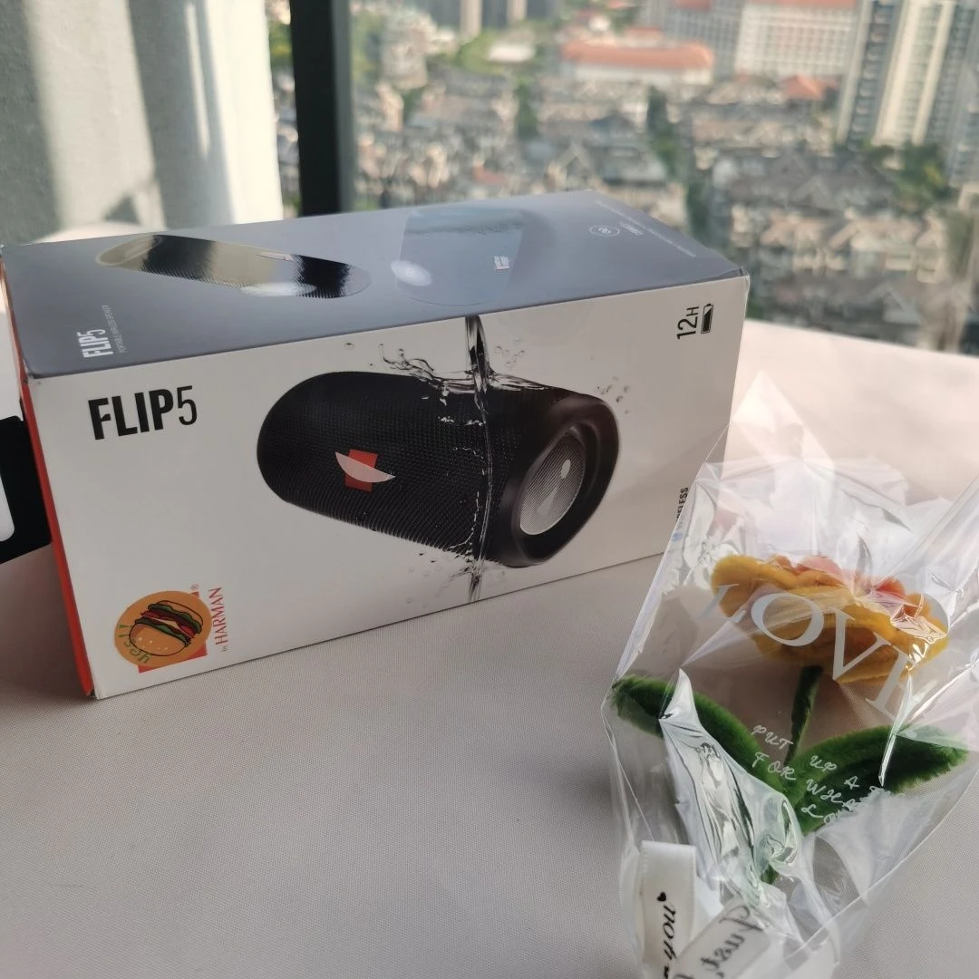 Flip 5/6/7 Outdoor Waterproof Speaker, High Volume for Party Gathering