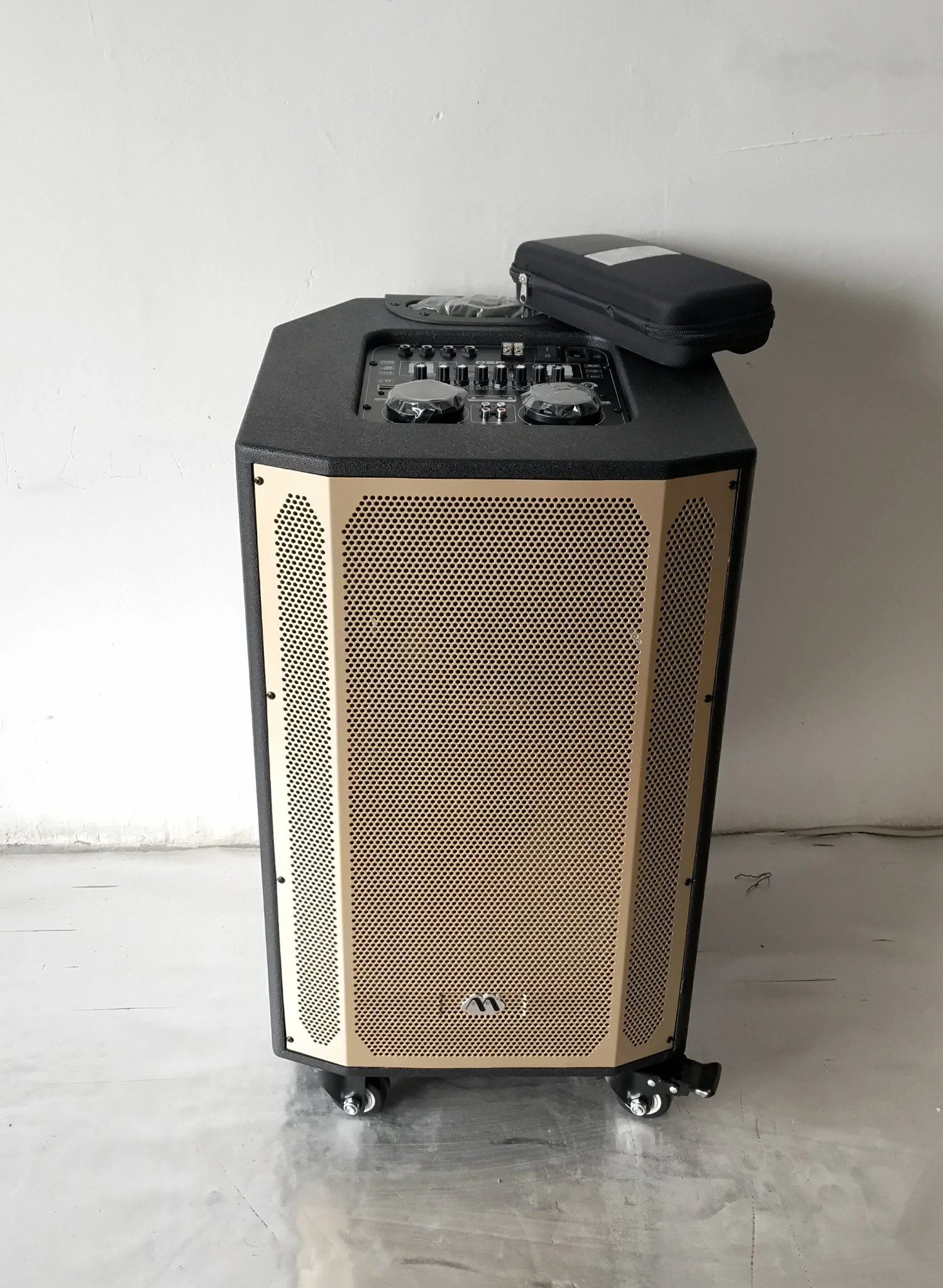Full Steel Grille 15 Inch Portable Trolley Wooden Speaker with Two Wireless Mic