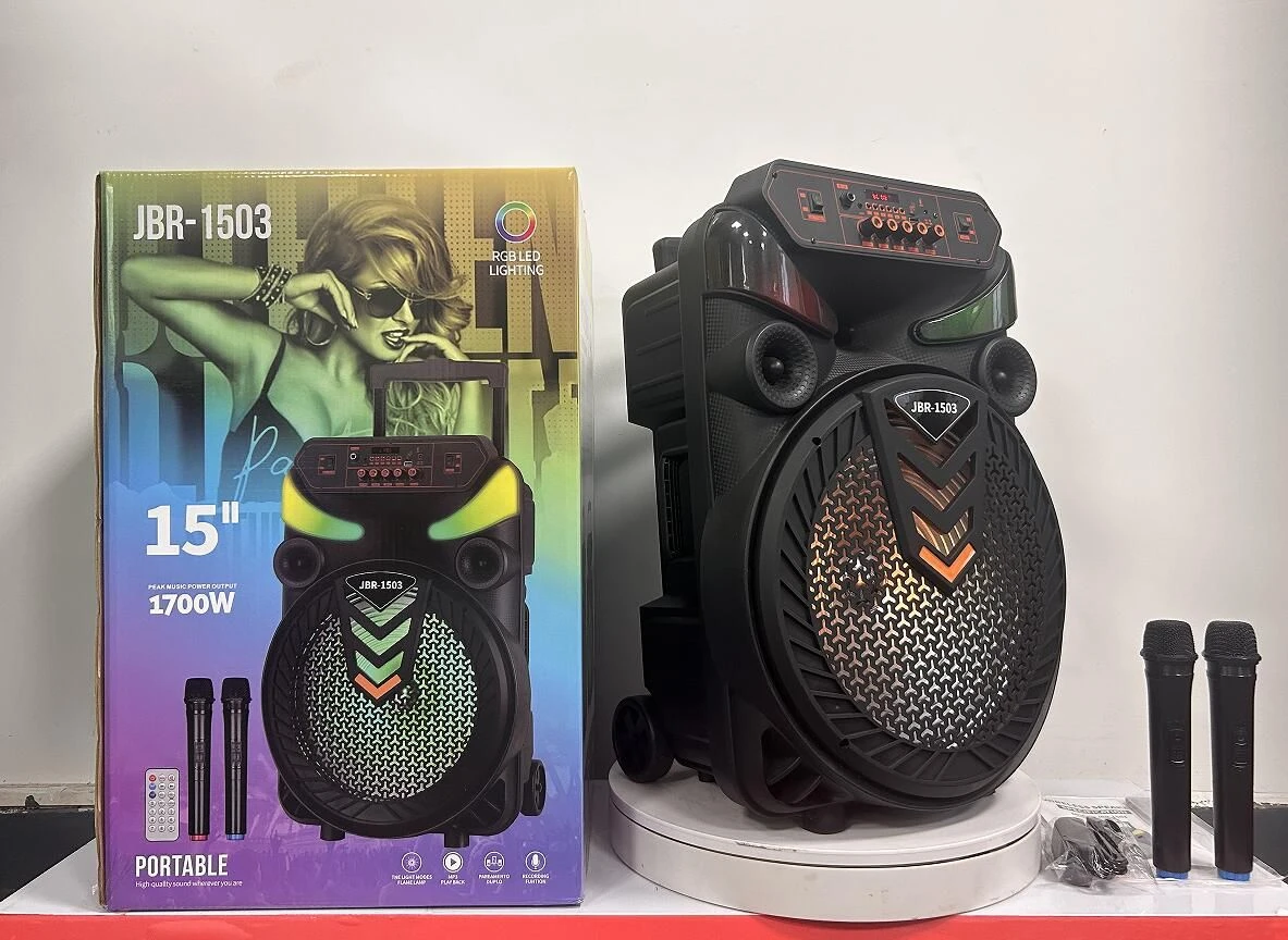 High Performance 15 Inch Speaker for Professional Audio Systems