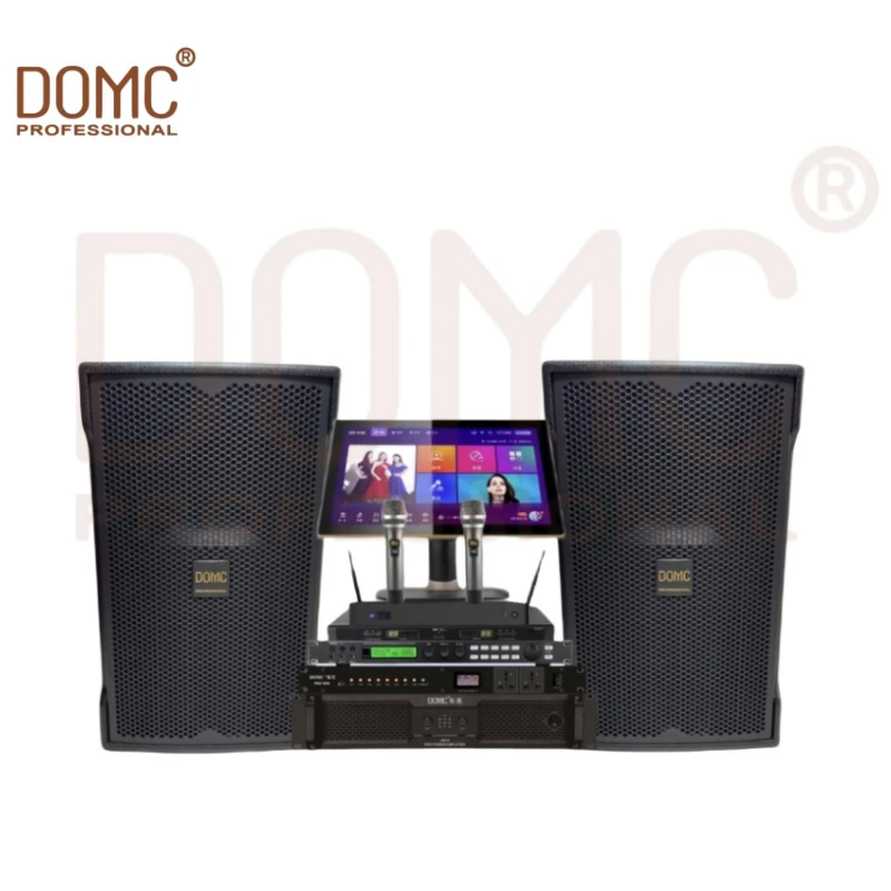High-Power 15-Inch Domc K215 PRO Stage Speaker for Events