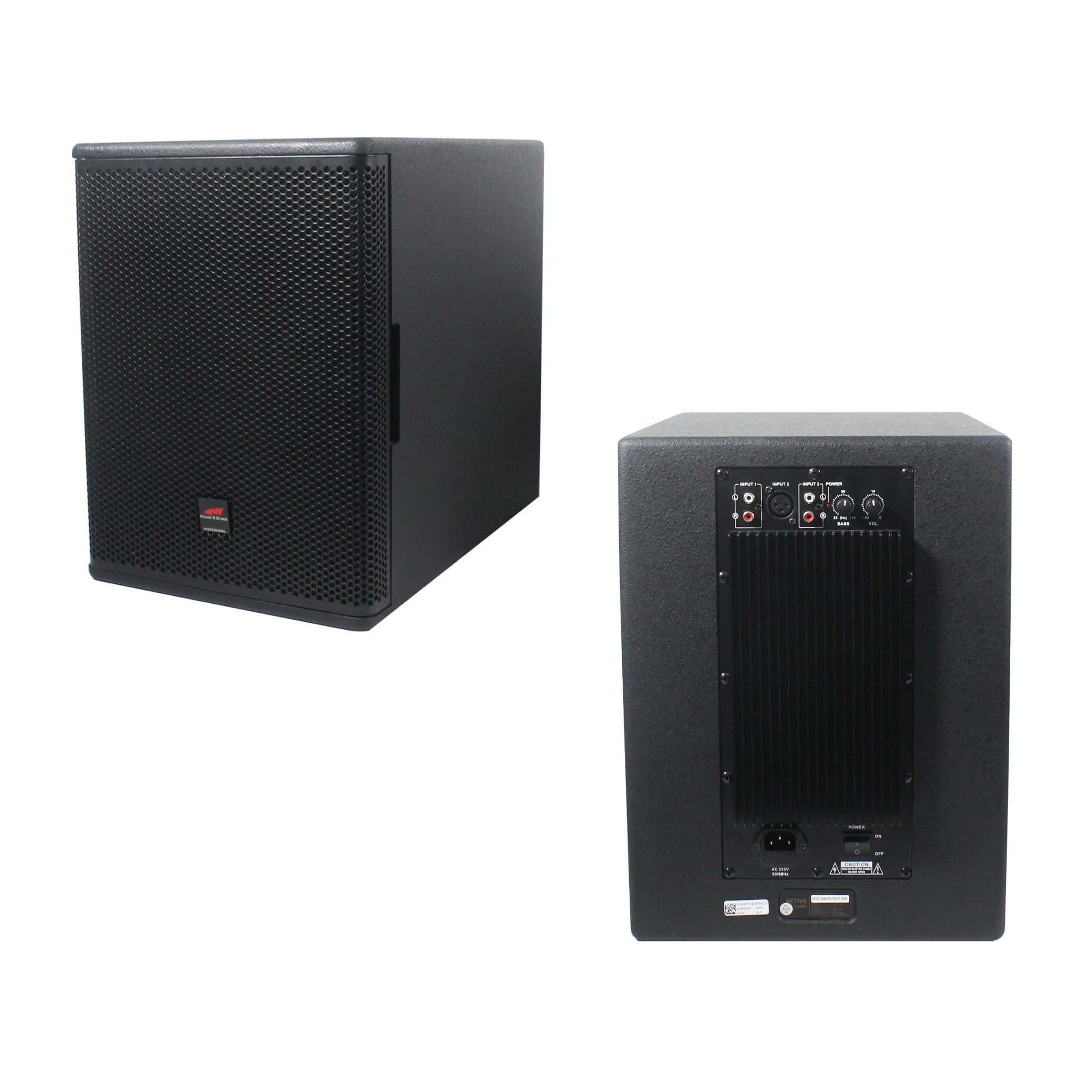 High Power 200W 10 Inch Sub Woofer Audio Active Under Seat Subwoofer for PA Altoparlante a 2 Vie