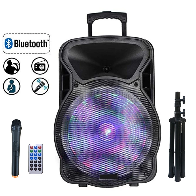 High Power 300W 15inch PRO Wheels Build-in DSP