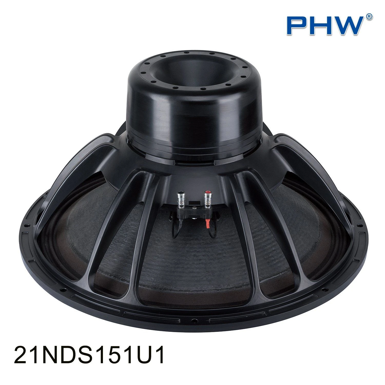 High Power 4400watt 21” Neodymium Subwoofer Professional Speaker.