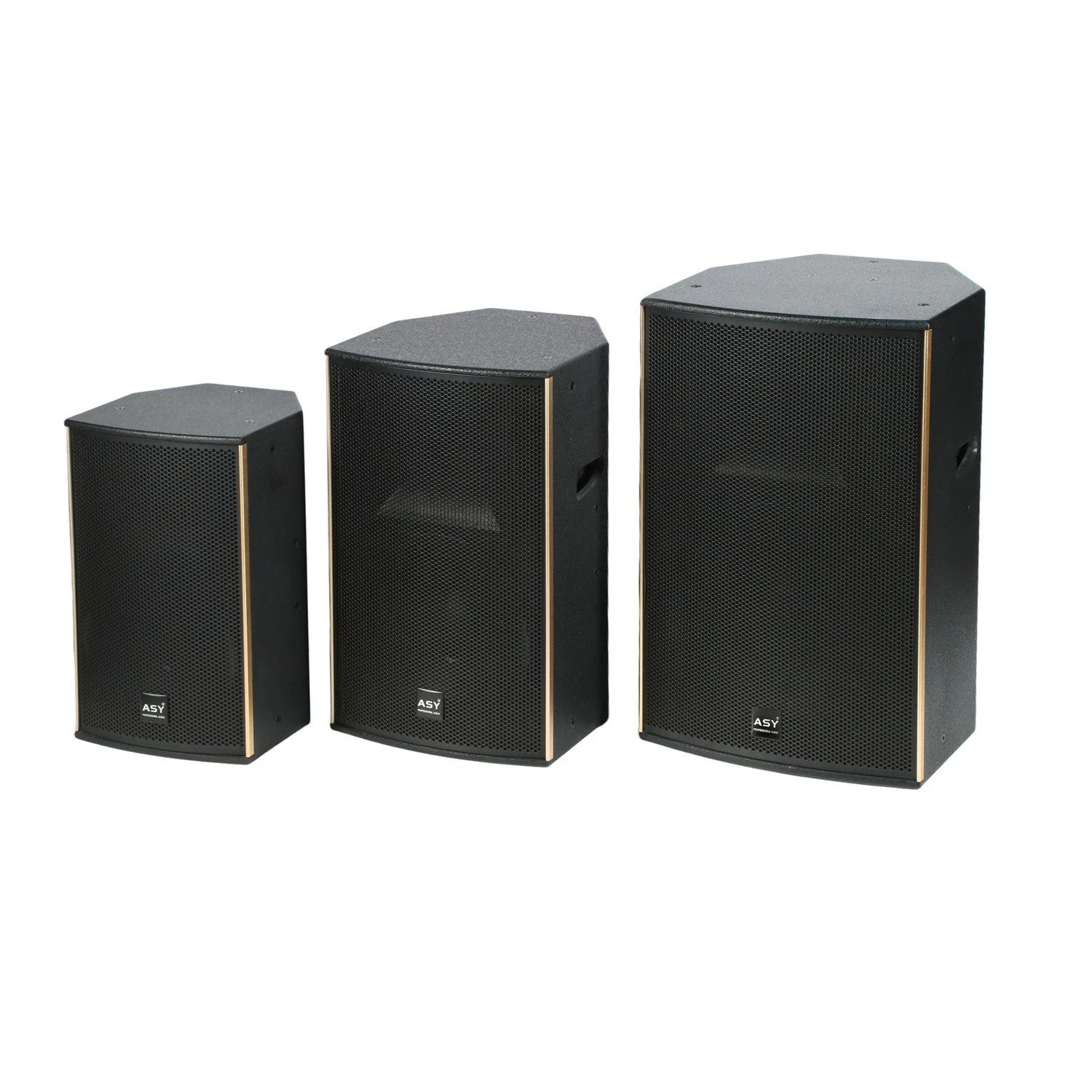 High Power 600W RMS Full-Range Speaker for Outdoor Performances