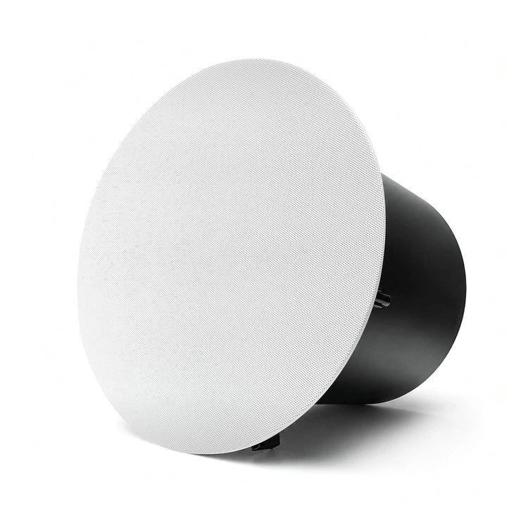 High Power Ceiling Speaker C60
