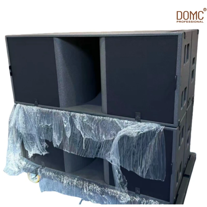 High Power Line Array Speaker System with 2000W Peak Power