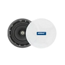 High Quality High-Fidelity Anti-Magnetic 6-Inch Ceiling Mount Speaker