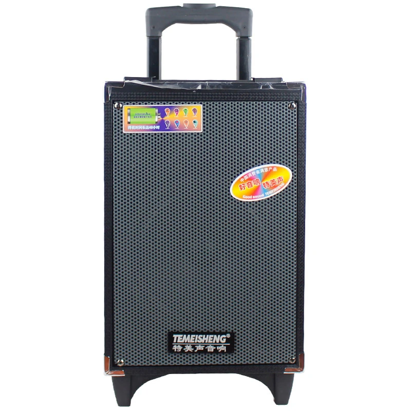 High Quality Temeisheng A8-2t Recharge Portable Stage Sound Amplified Speaker