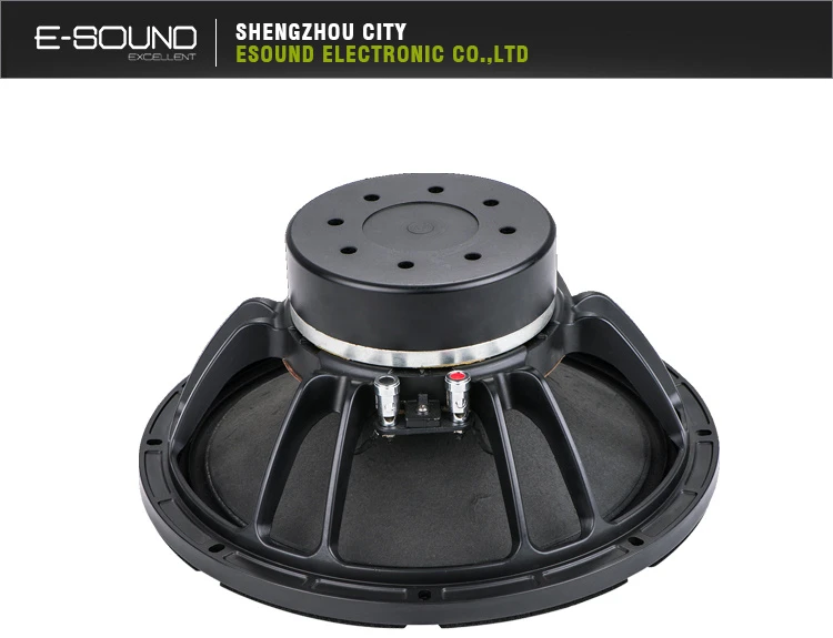 High Quality Wall Mount Speaker 10ndl64