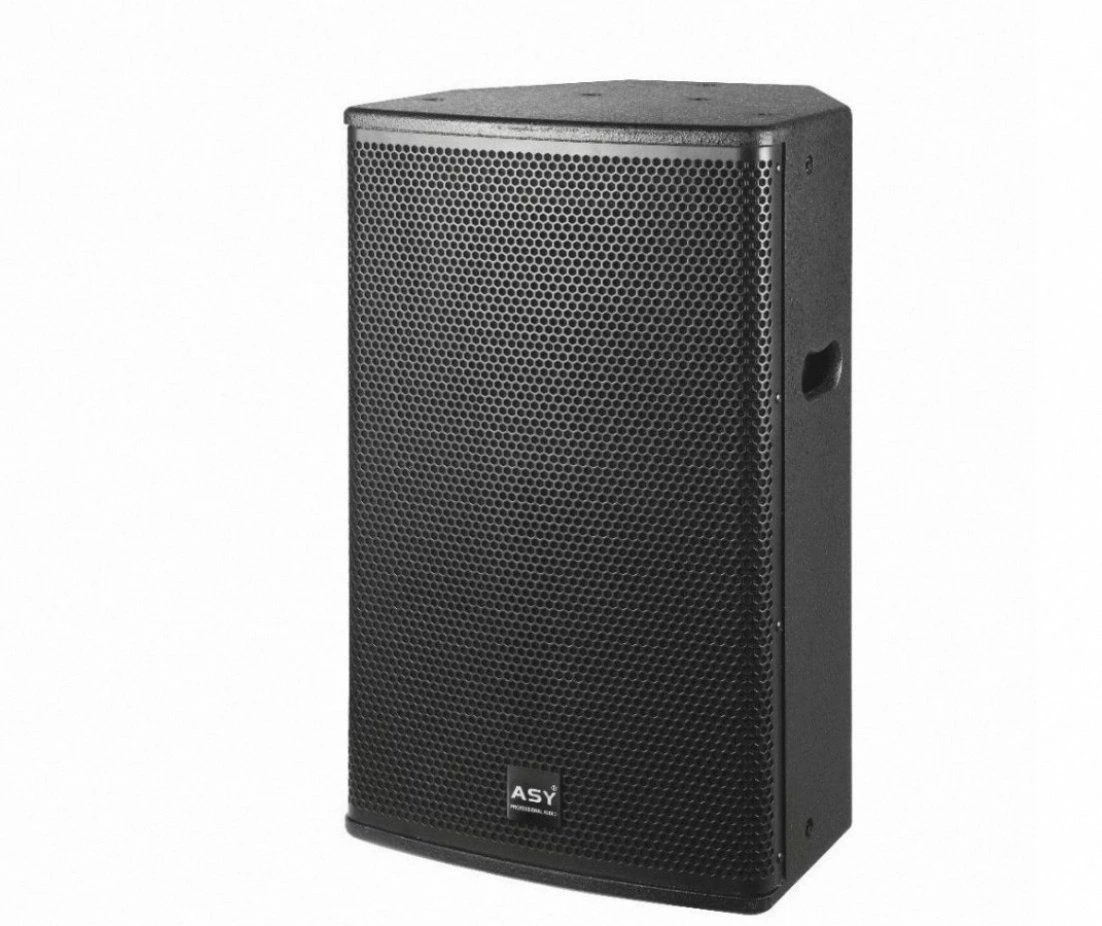 High Standard Premium Professional Audio Speaker Box for Hotels Conference Halls