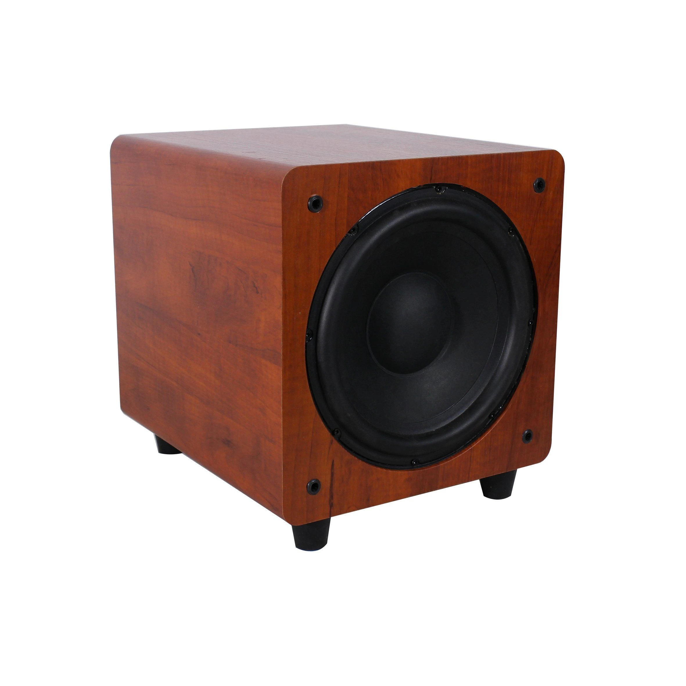 Home Theater 10 Inch Active Subwoofer 150W Speaker Sub 1000
