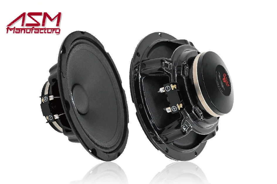 Hot Sale Car Audio Midrange OEM Cone Video Watts Speaker
