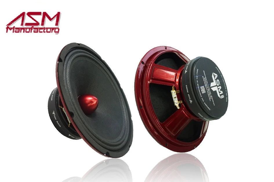 Hot Sale Car Horn Audio OEM 10” Video Cone Speaker