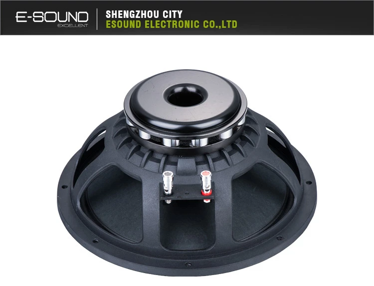 Hot Sales Professional Neodymium Speaker