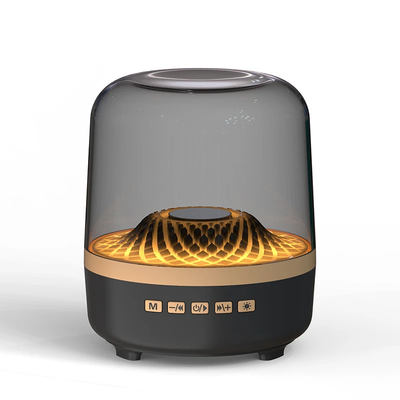 Hot Selling Black Gold RGB Light Portable Dual Endurance Bluetooth Speaker