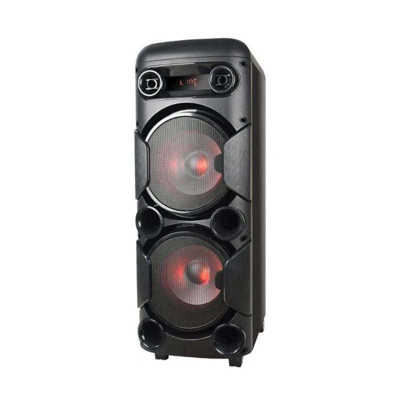Hot Selling Dual 8 Inch 60W RMS Portable Rechargeable Wireless Bluetooth PA Speaker Tms-820
