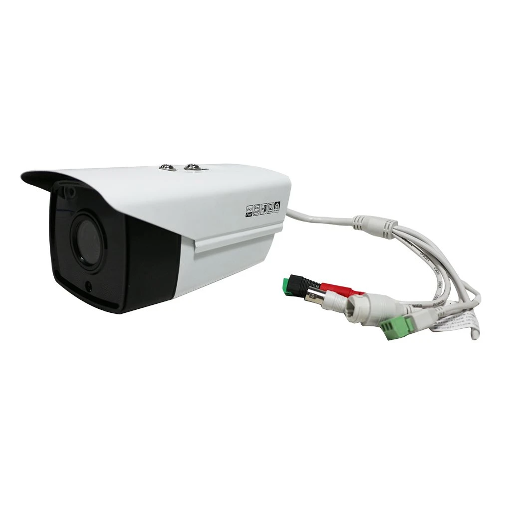 IP/ HTTP/ ICMP/ TCP Network Infrared Camera with Image and Audio for Day and Night Dual-Use