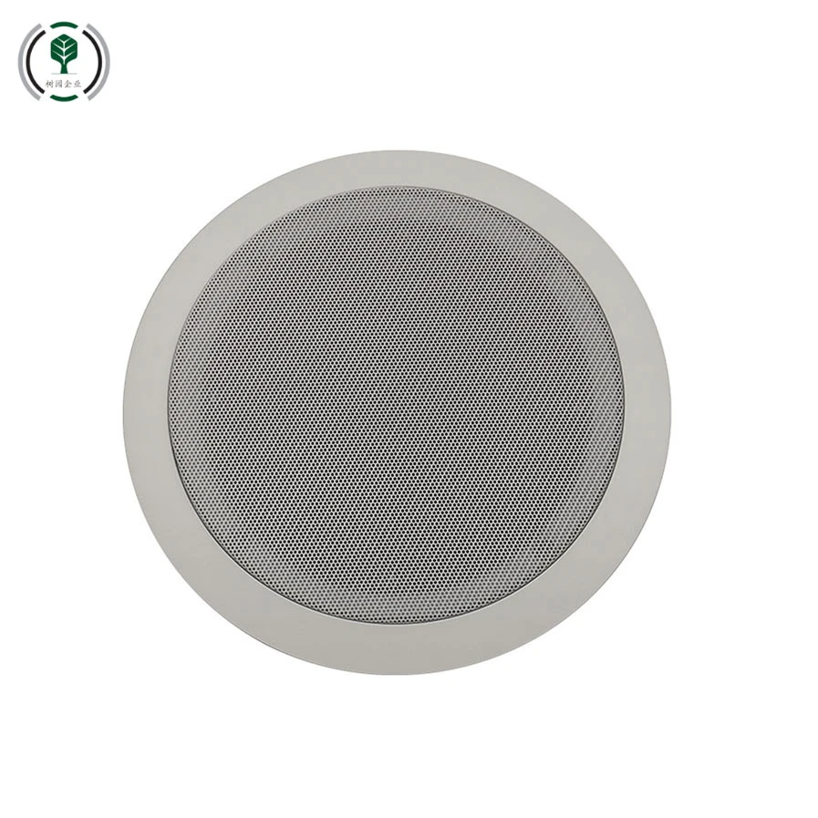 Indoor Hotel Office Home Ceiling Mounted Speaker