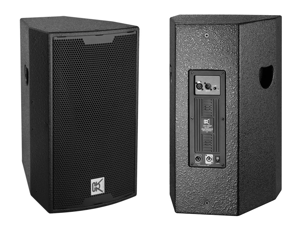 Indoor / Outdoor 15 Inch PA Speaker Self Powered Speaker Cabinet