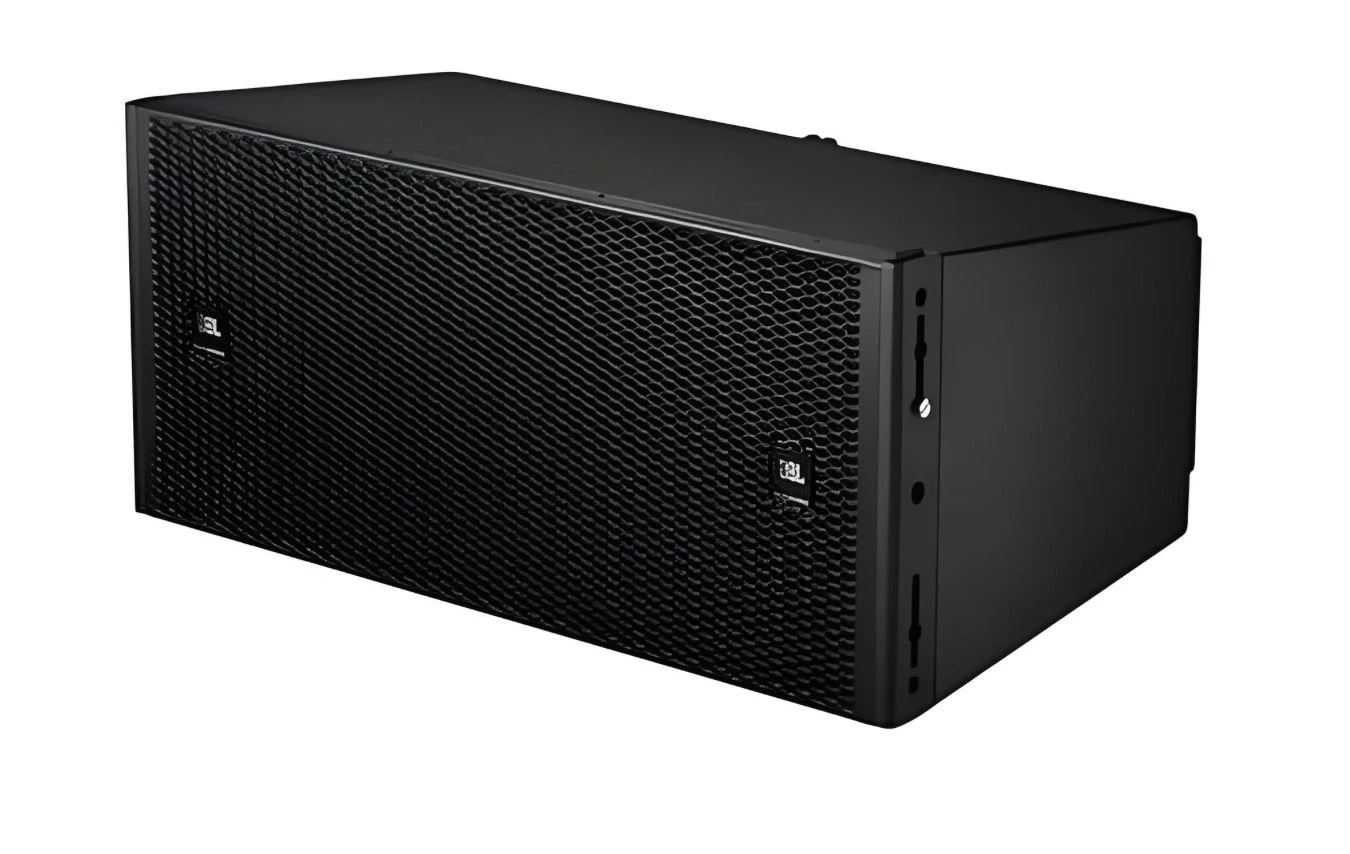 Inverted 10 Inch Main Speaker