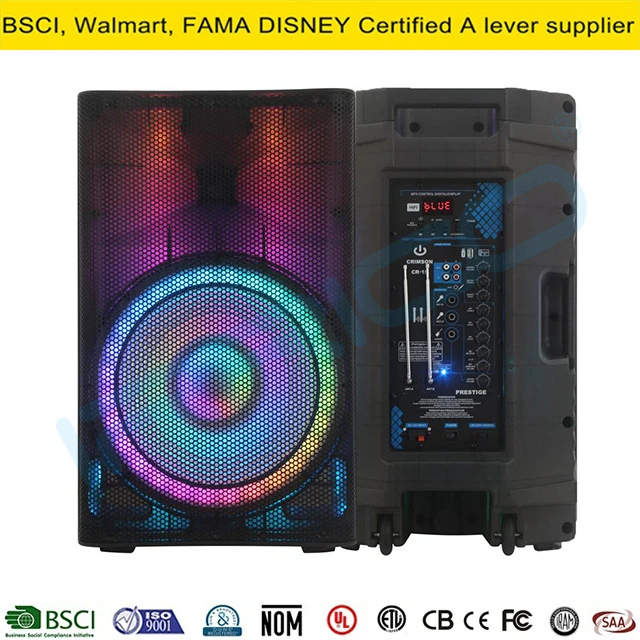 Irrico Hot Selling 15 Inch Full Translucent Speaker Flame Light System Bochina