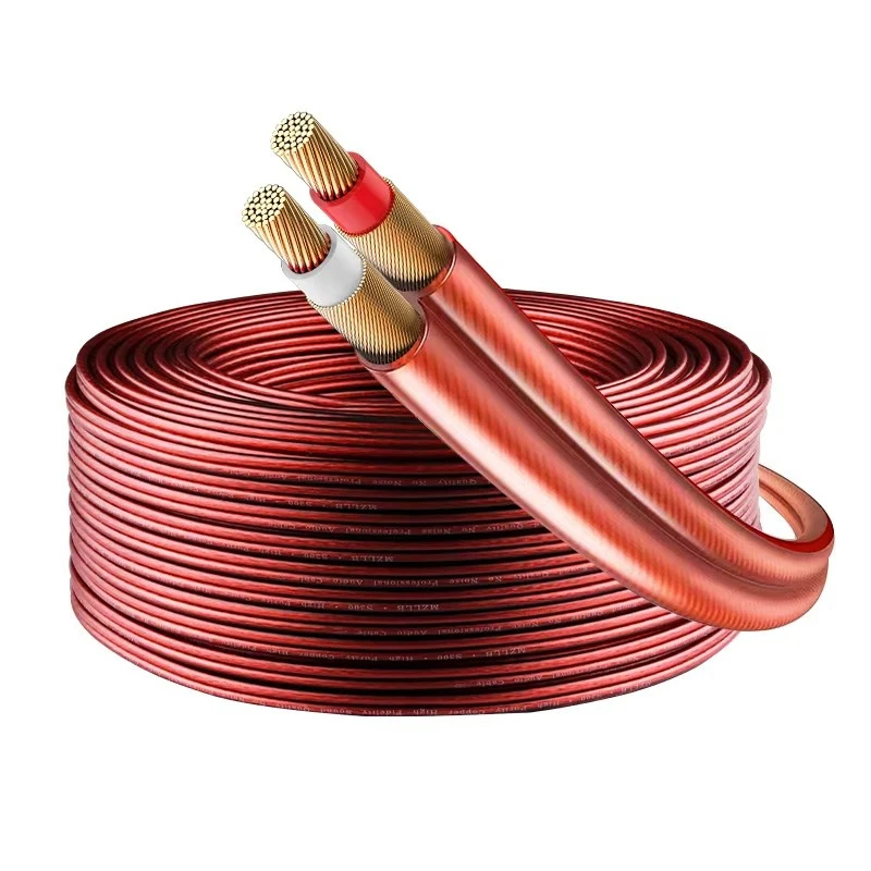 JHS OFC Double-Core Shielded Speaker Cable for Power Amplifier/Car Audio Connection Line