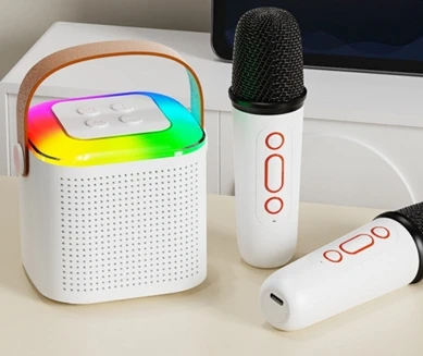 Karaoke Machine for Kids Adults Birthday Gifts Bluetooth Speaker with Wireless Microphone