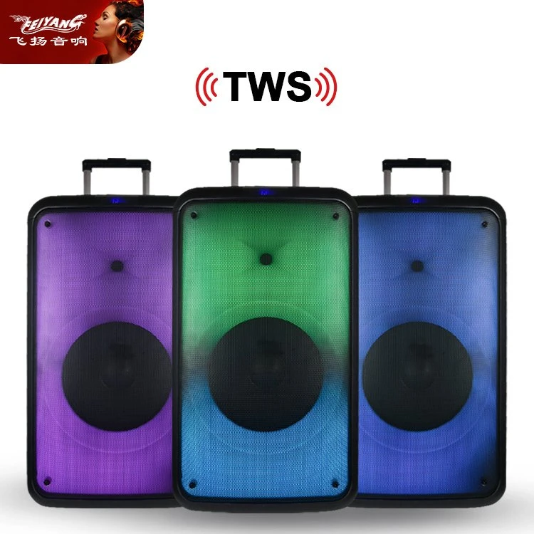 Karaoke Outdoor Indoor Portable Rechargeable Party Bluetooth Speaker