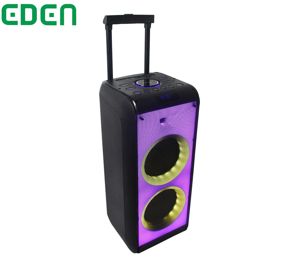 Latest Designs Dual 8 Inch Trolley Stereo PA Wireless Bluetooth Portable Party Speaker with Flame Light