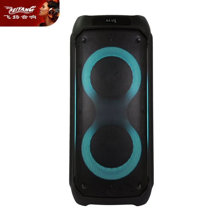 Latest Dual 8 Inch Caixa De Som 80W Professional Karaoke Bluetooth Speaker