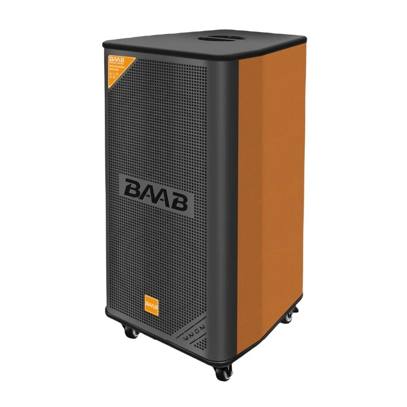 Latest PA Dual 10 Inch Outdoor Portable Bt Audio with Pull Rod Big Powered Wireless Rechargeable DJ Karaoke Trolley Party Speaker